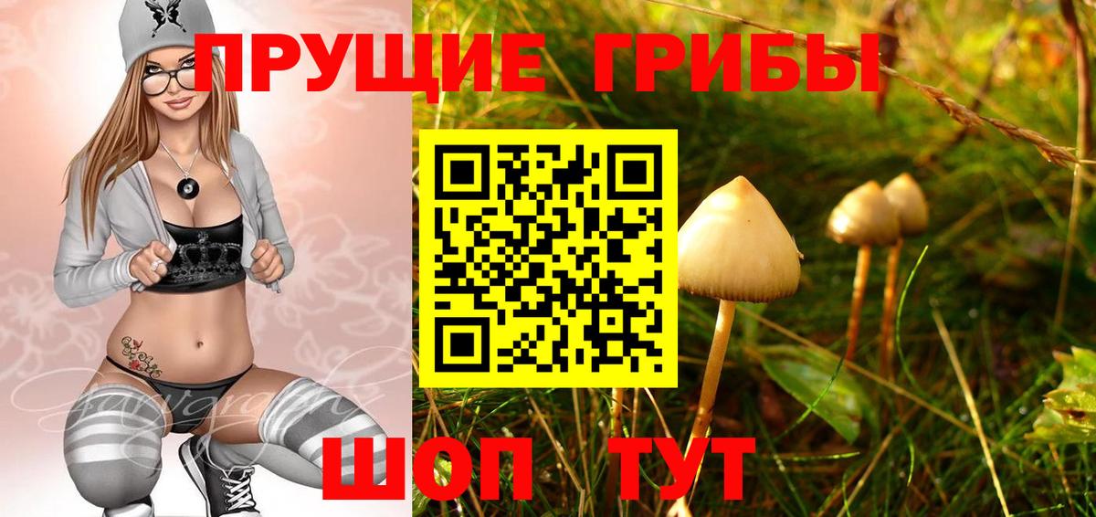 Галлюциногенные грибы ЛСД Партизанск
