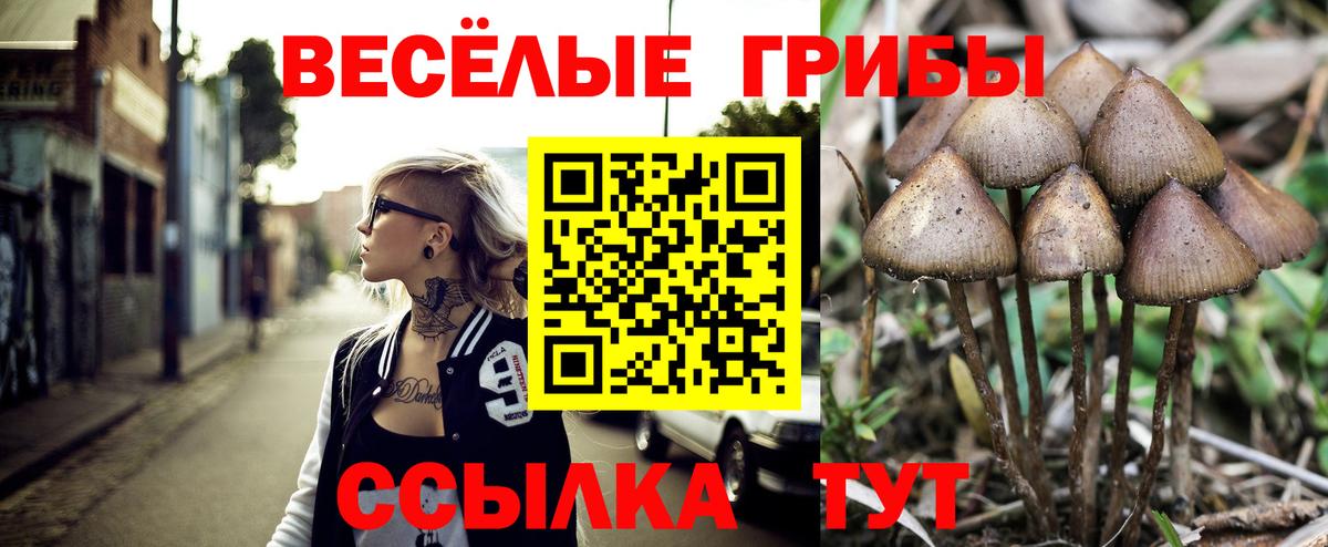 Псилоцибиновые грибы мицелий  Галлюциногенные грибы Cubensis  купить наркотик  Партизанск  Вход с VPN 
