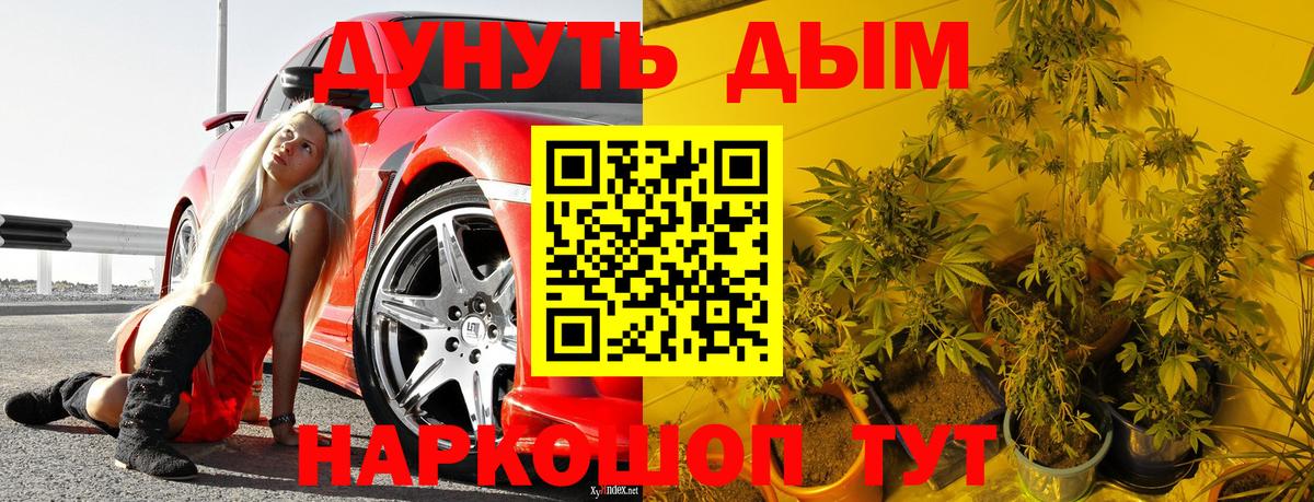Каннабис гибрид Партизанск